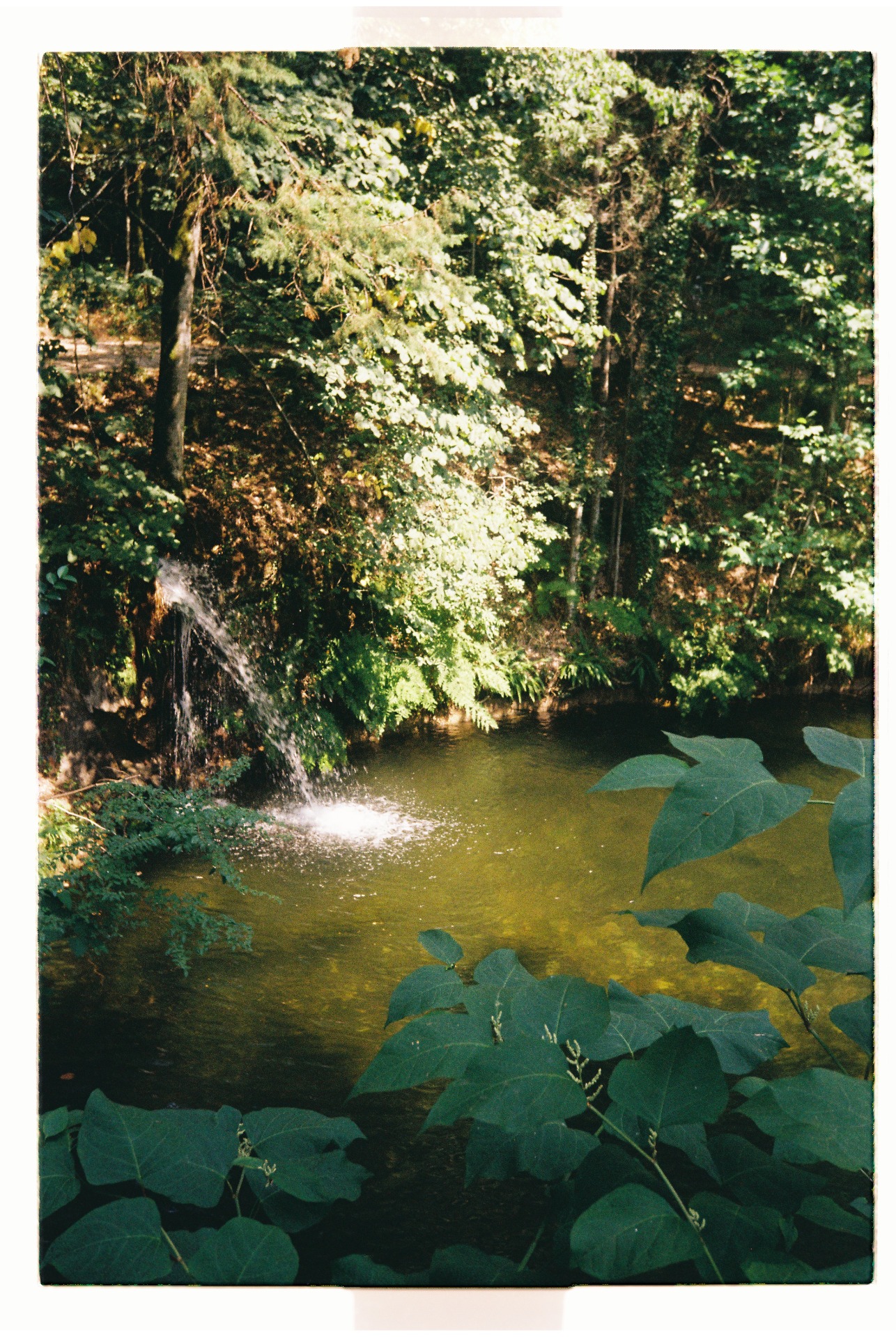 Gerês (2025)